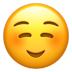 Icon 1